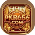 pkr656 Game